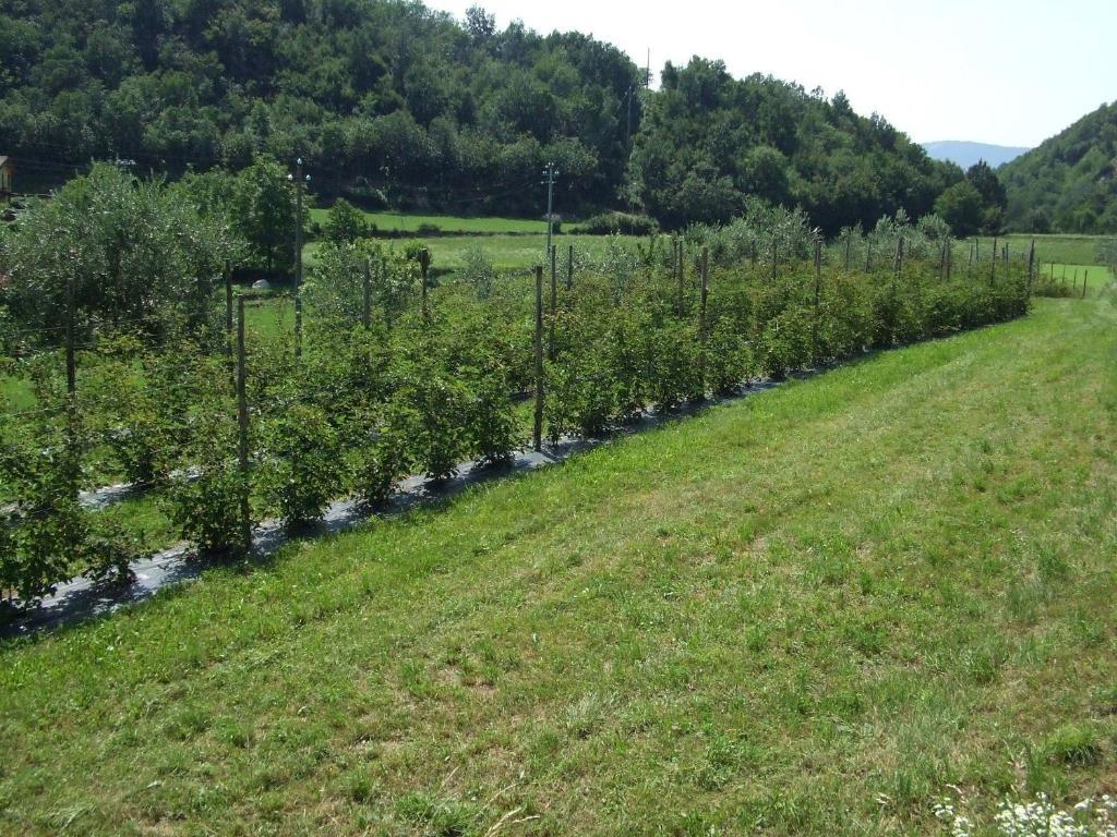 Agriturismo Cascina Rossano Provaglio d'Iseo Exterior photo